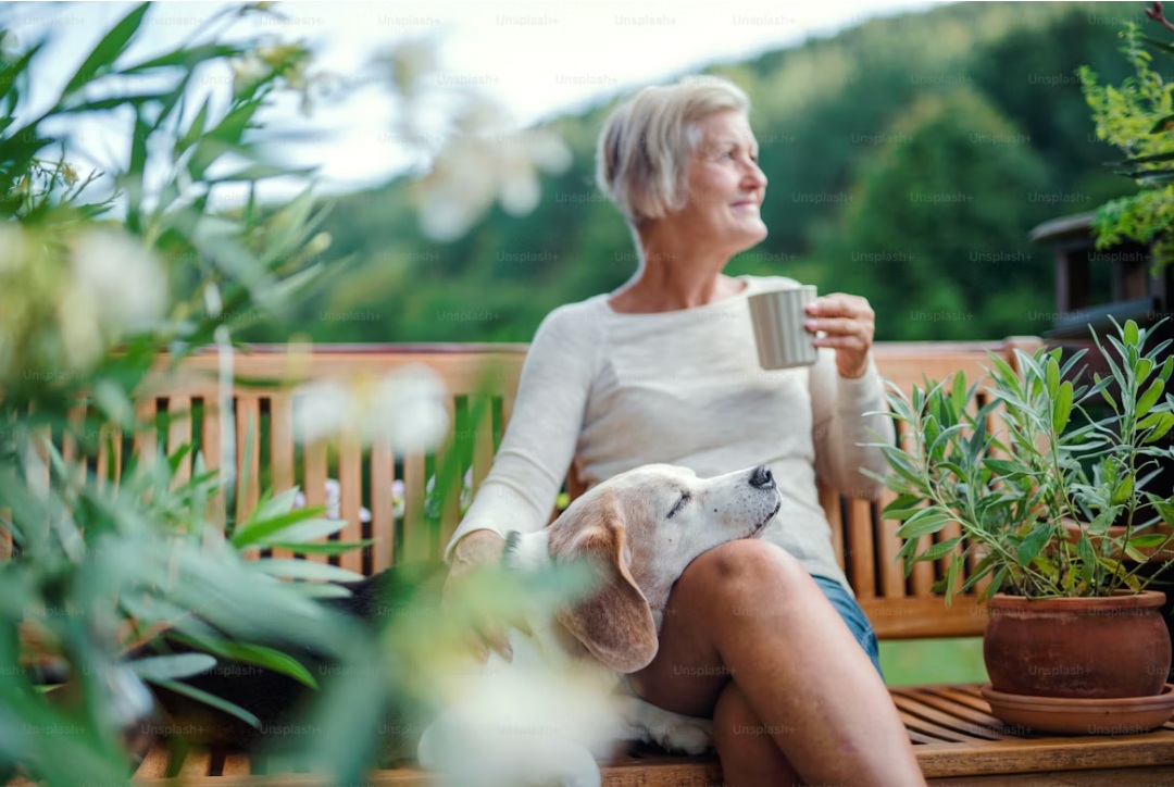 เมื่อ "ความแก่" ไม่ใช่เรื่องธรรมชาติ แต่คือ "โรค" ที่รักษาได้ !