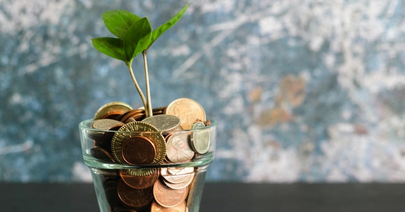 Wealth Strategy for the 100 Years Life