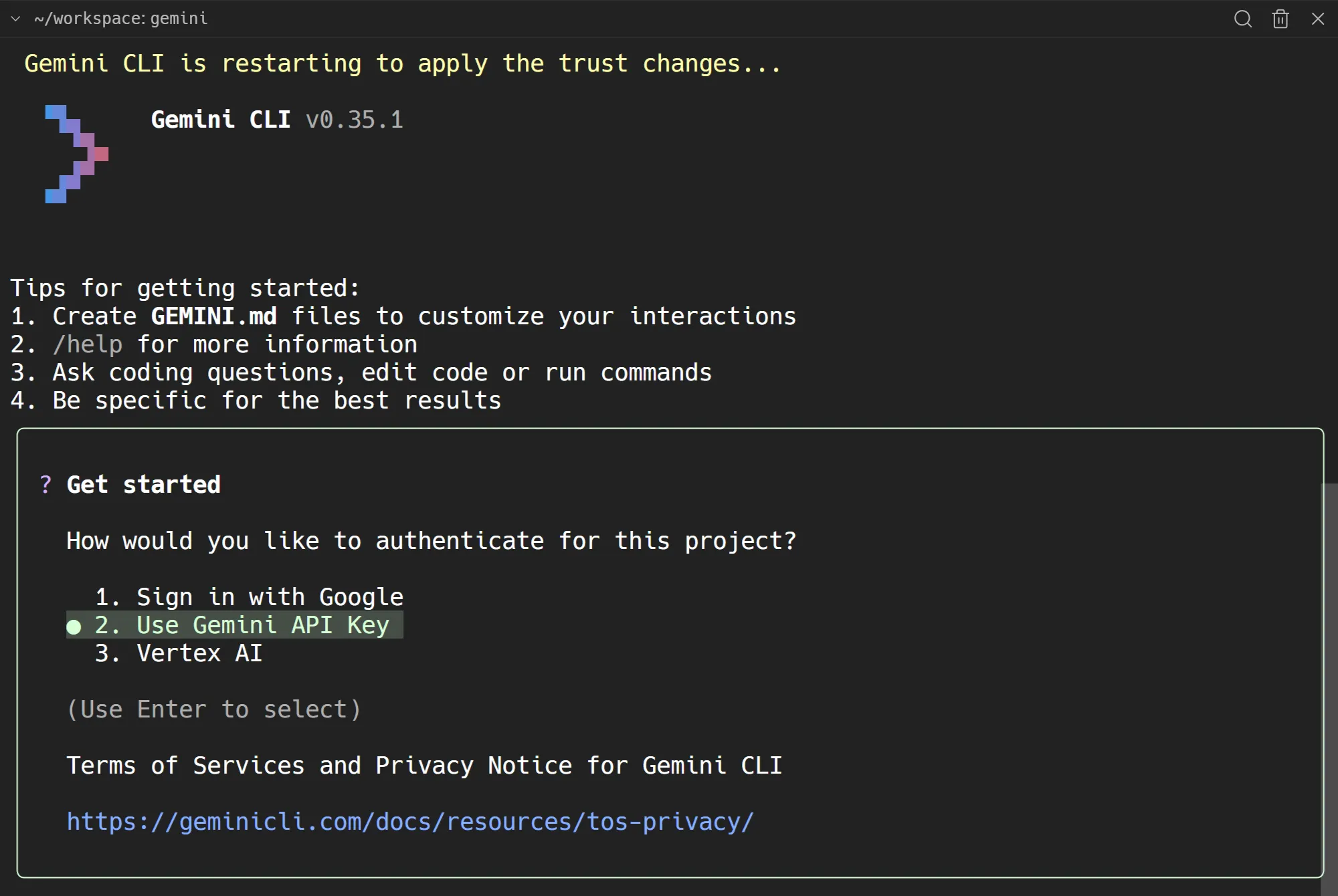 step 2.3 use gemini api key