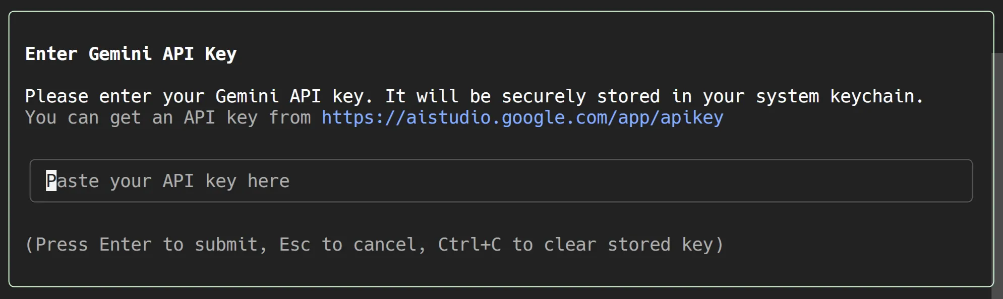 step 3 insert gemini api key