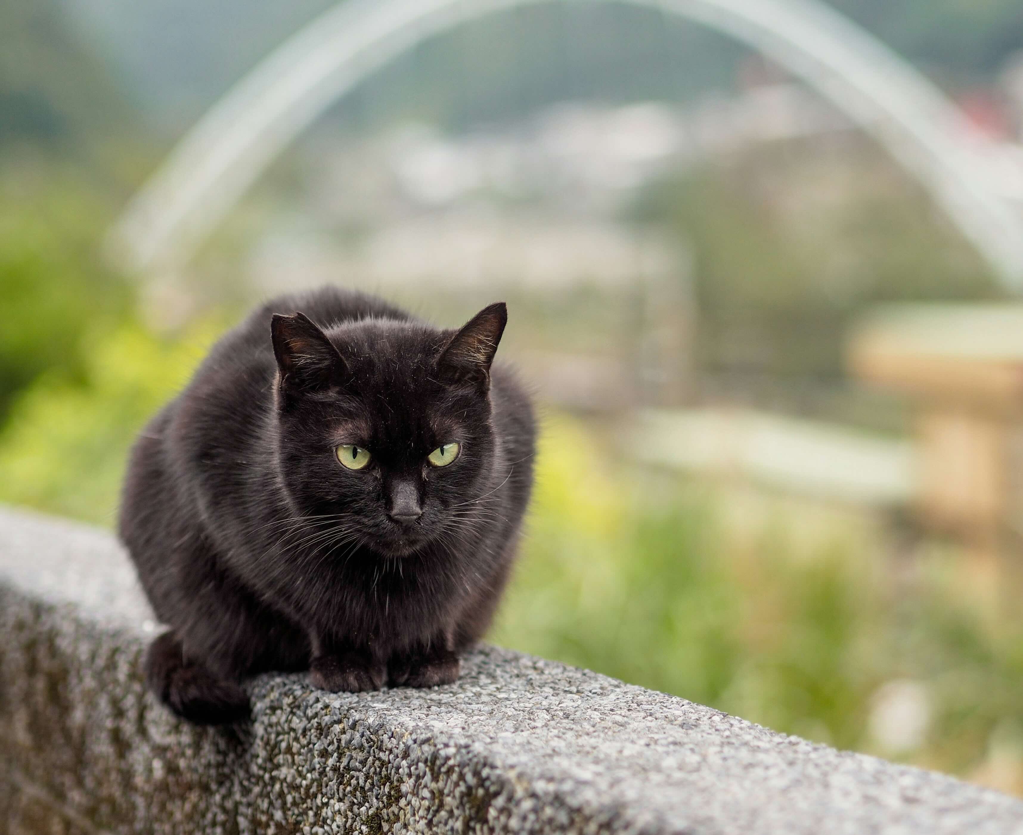 ถ้าฉันเป็นคนเกษียณ...ที่โชคร้าย