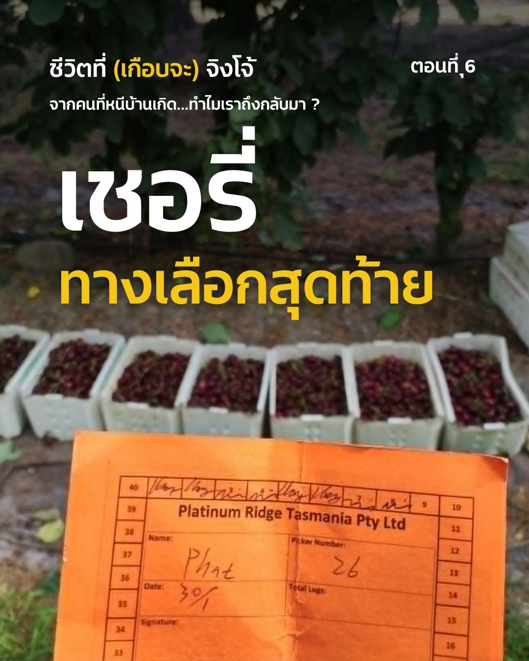 Cover image for ชีวิตที่ (เกือบจะ) จิงโจ้ ตอนที่ 6