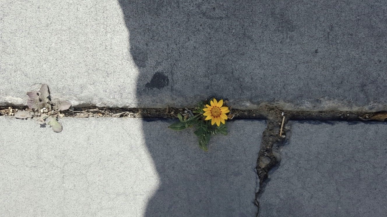 เพราะความสวยงาม             เริ่มต้นที่การ "เลือก" มอง