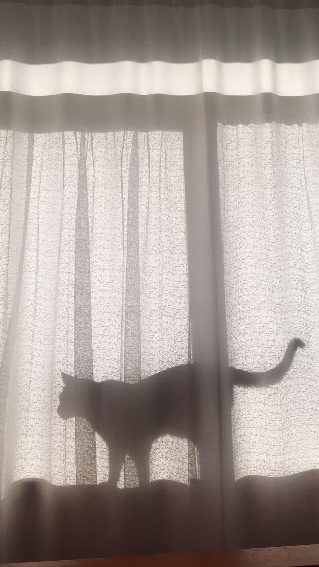 เพราะเชื่อว่าเราทุกคนเกิดมาเพื่อมีประสบการณ์