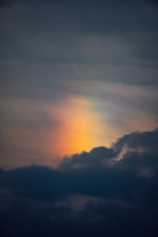 Optimized, But Fragile Life