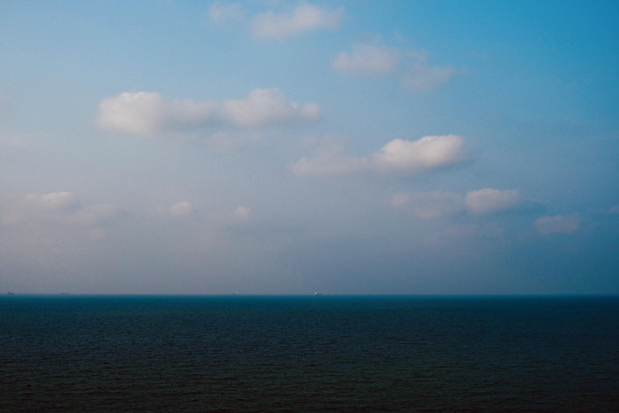 The Fabric of Life: Torn Apart or United?