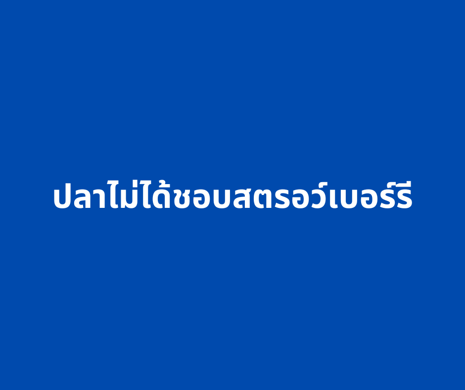 เพราะปลาไม่ได้ชอบสตรอว์เบอร์รี