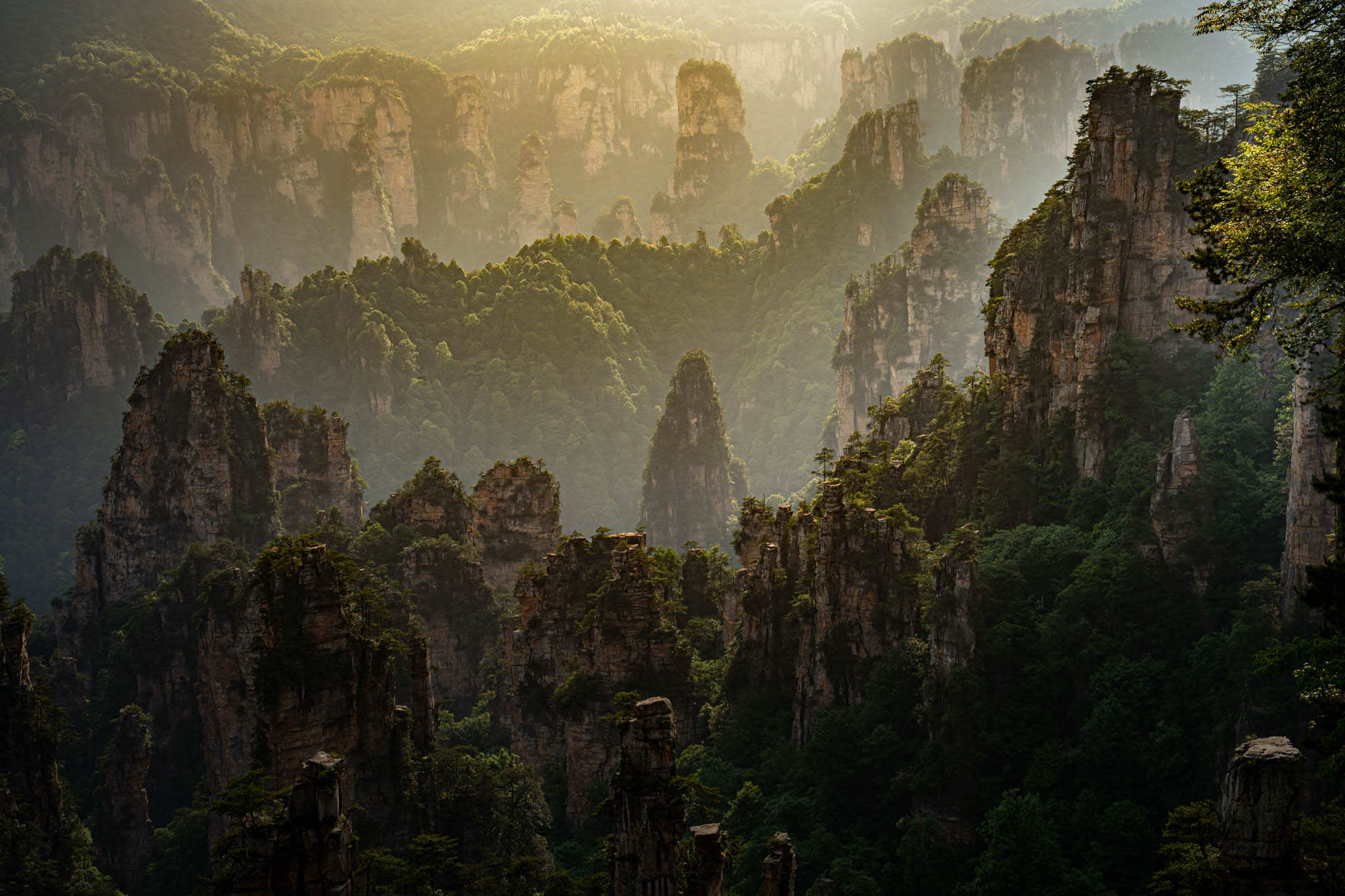 Quick Photo Study: Zhang Jia Jie - The Avatar's Mountain